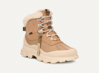 Adirondack Meridian Wanderer