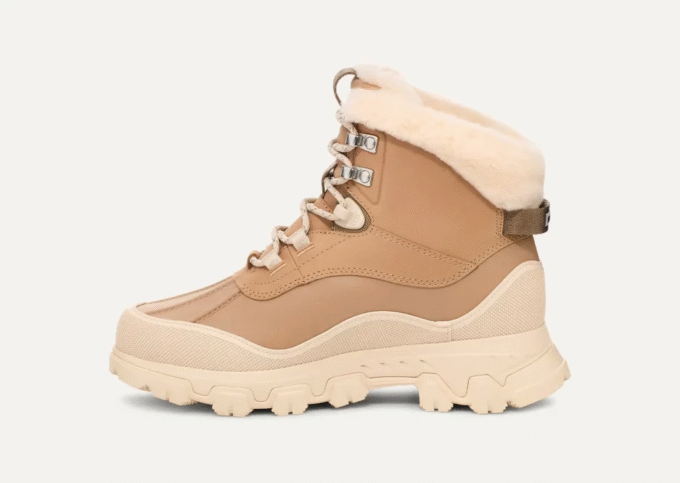 Adirondack Meridian Wanderer