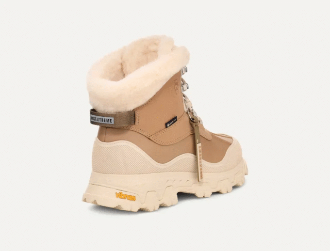 Adirondack Meridian Wanderer