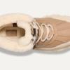 Adirondack Meridian Wanderer