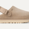 Goldenstar Clog